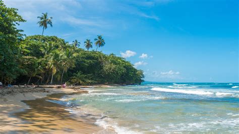 playa chiquita|[2024] Photos of Playa Chiquita Costa Rica (Caribbean) From Our ...